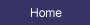 Home Button